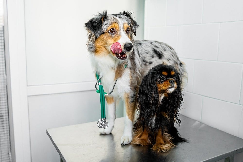 Создать карусель