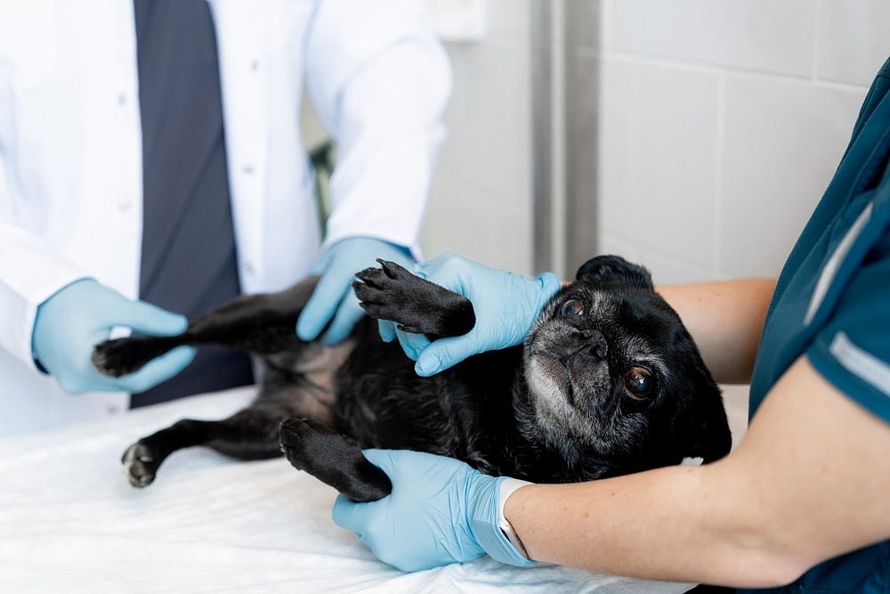 Создать карусель