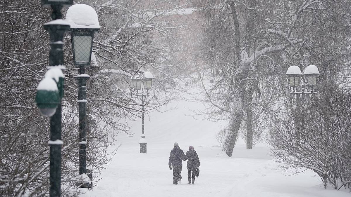    Фото: Александр Авилов / АГН Москва