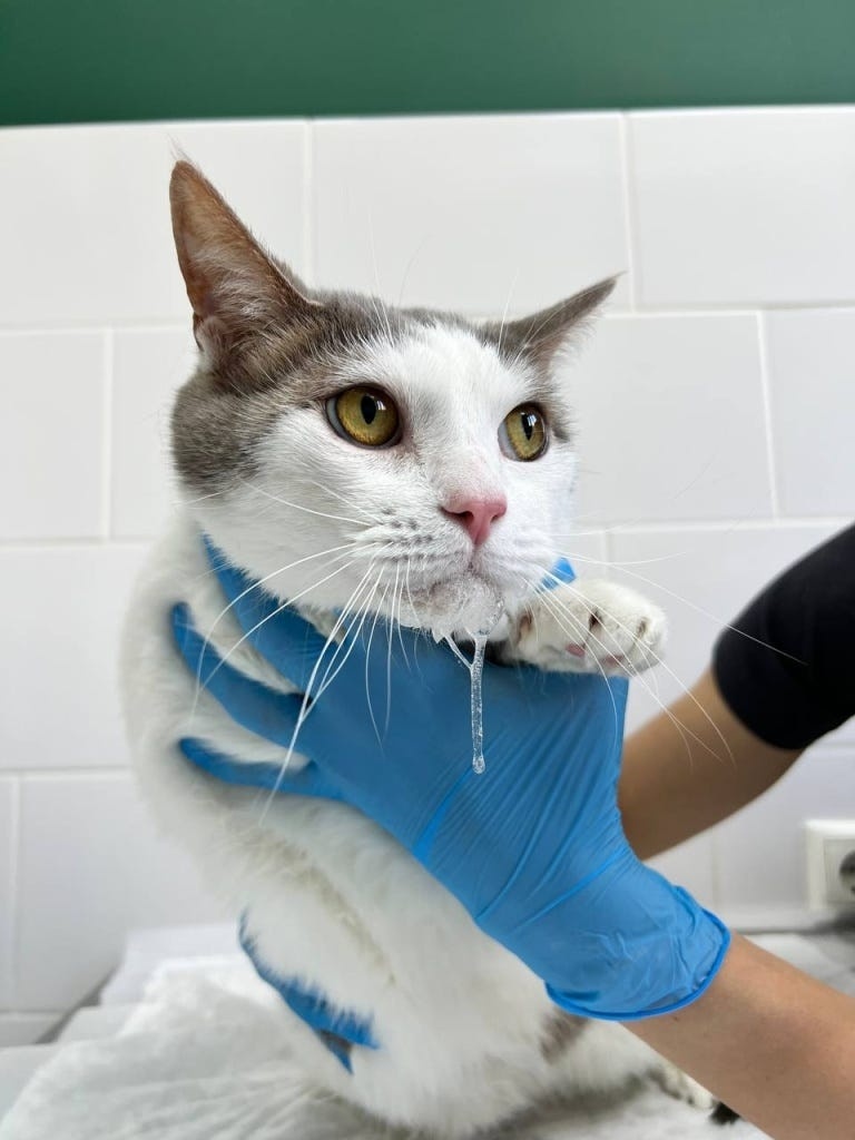 Создать карусель