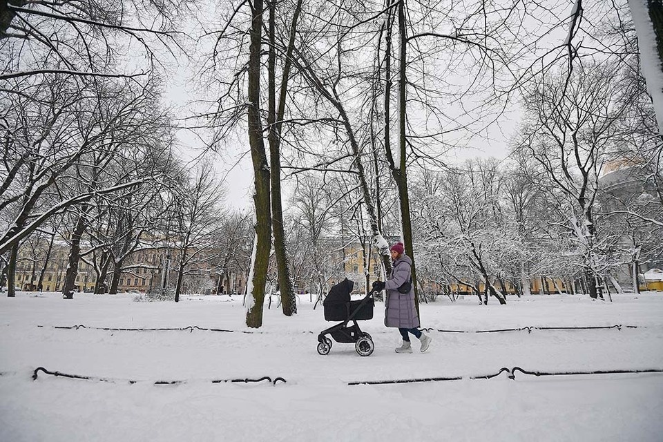    На реализацию социальной программы в 2026 году выделили 187 млрд рублей. Алексей БУЛАТОВ