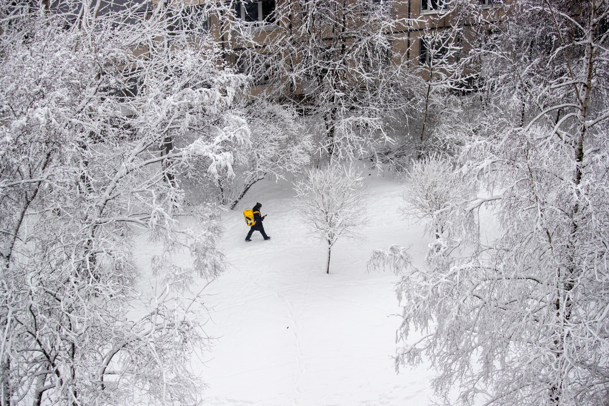 Фото: Олег Золото / «Петербургский дневник»