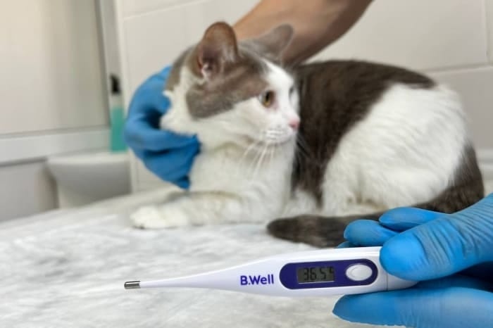 Создать карусель