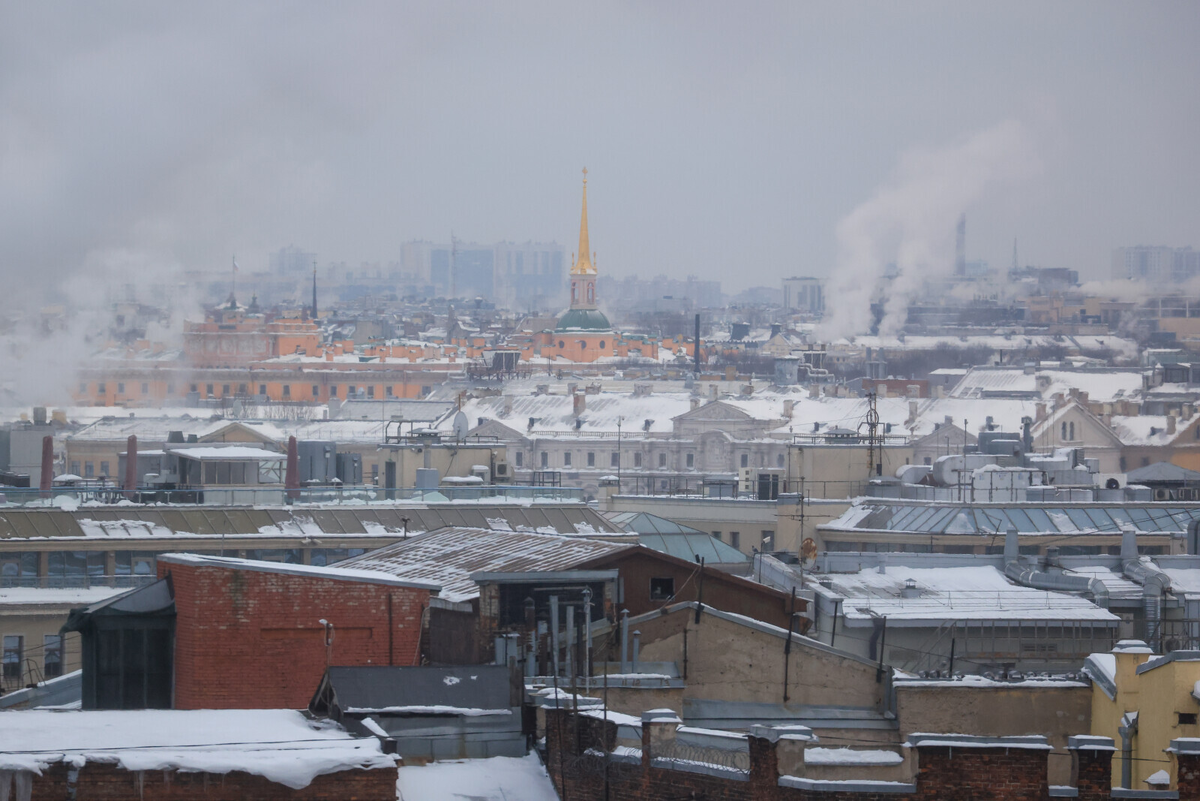 Александр Глуз / «Петербургский дневник»