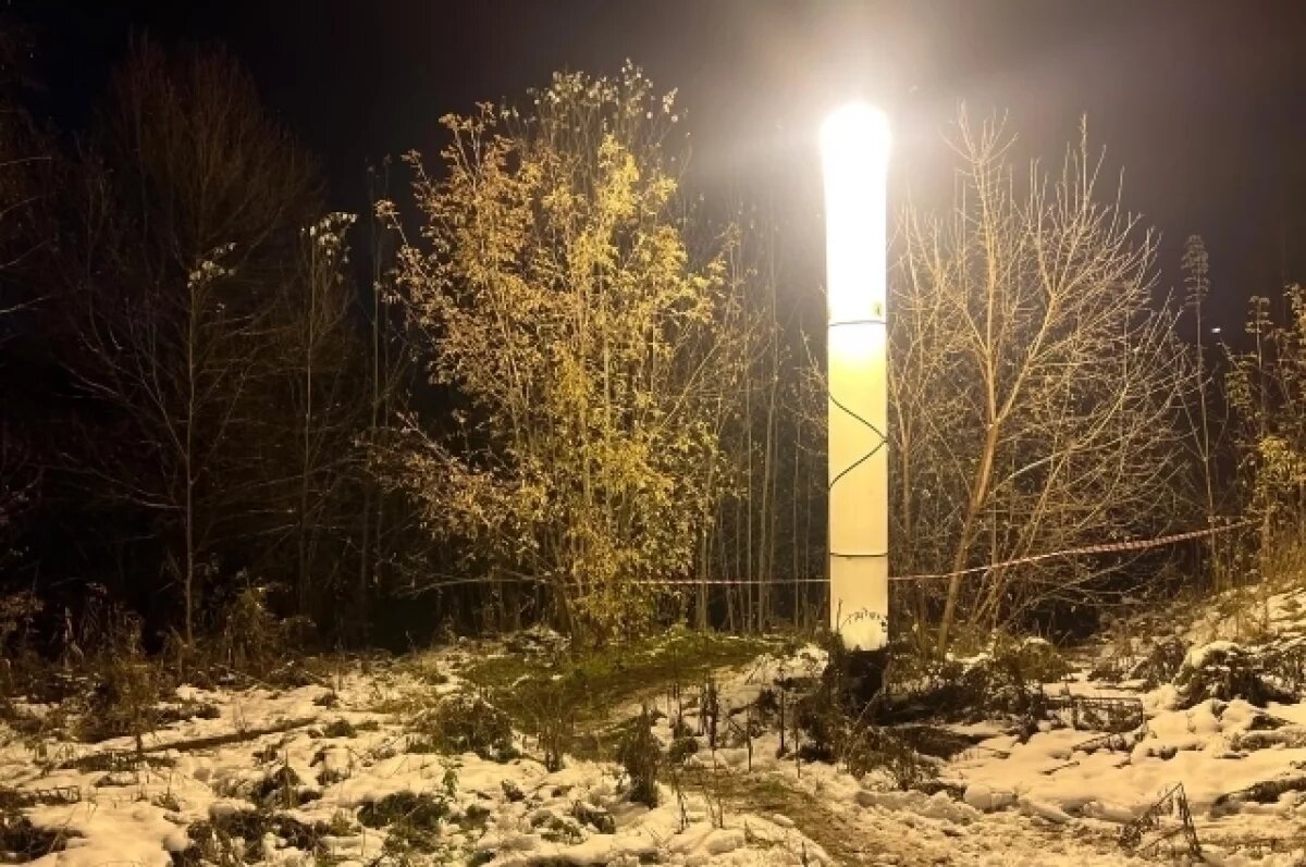    На Алтае девушку-подростка осудили за убийство новорожденного ребенка