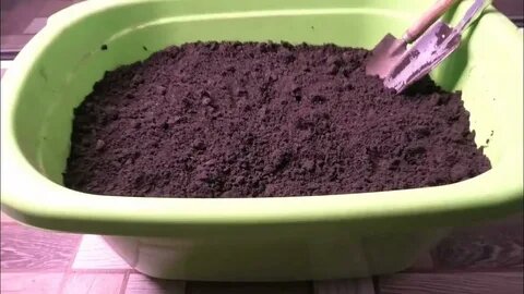 грунт для рассады баклажан