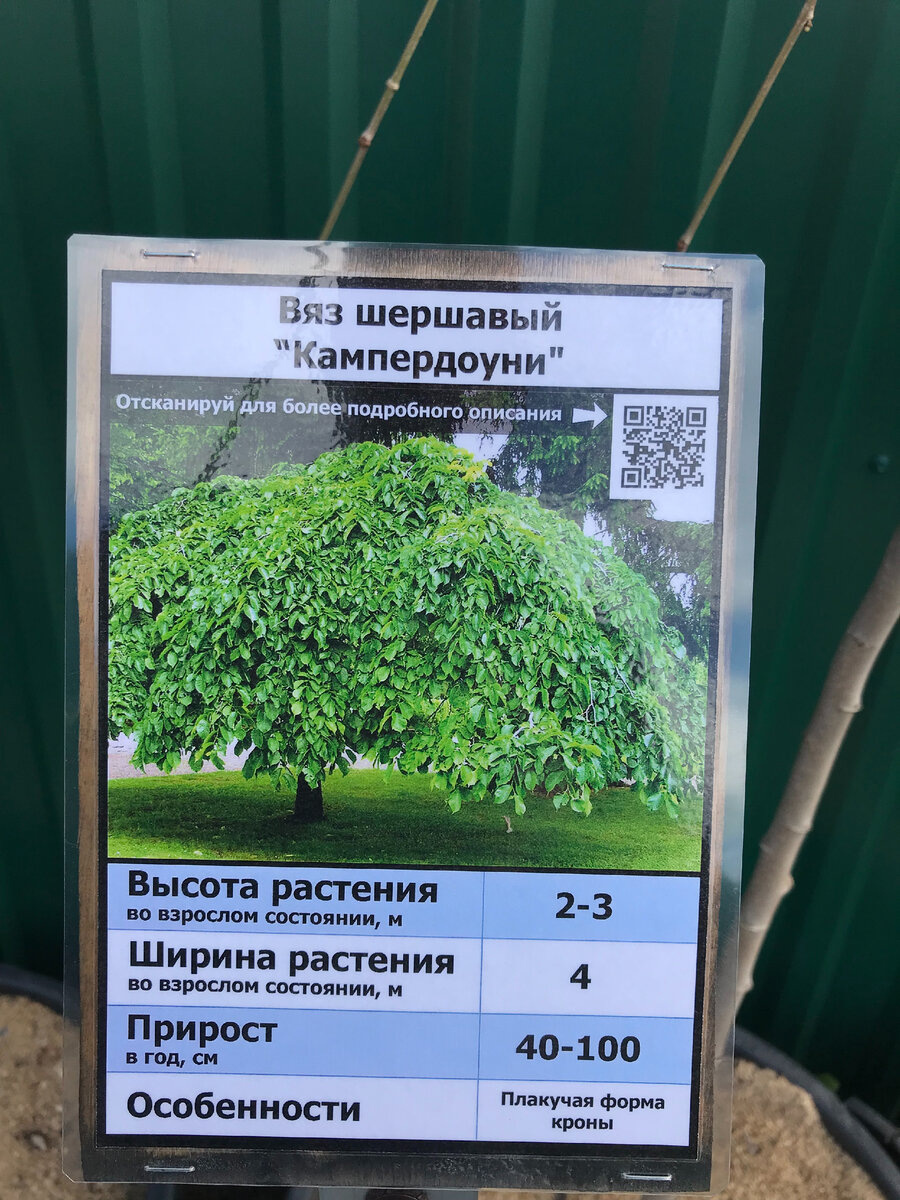 информационная табличка из питомника