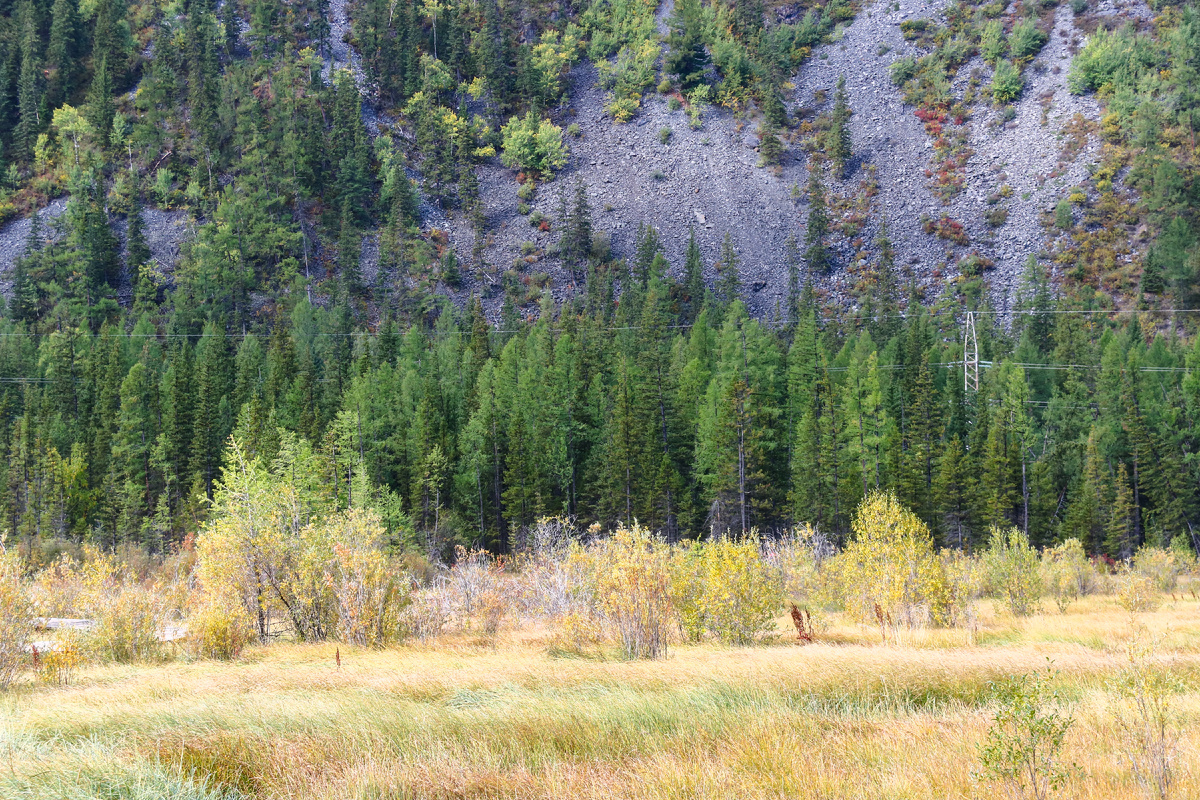 По пути на Гейзеровое озеро