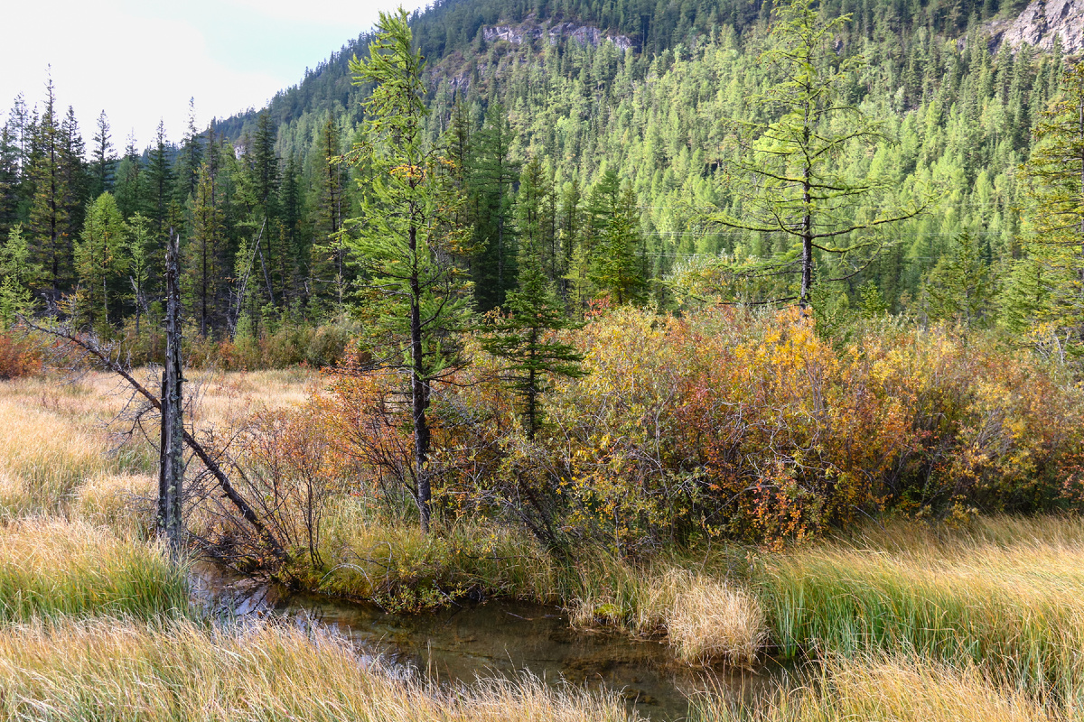 По пути на Гейзеровое озеро