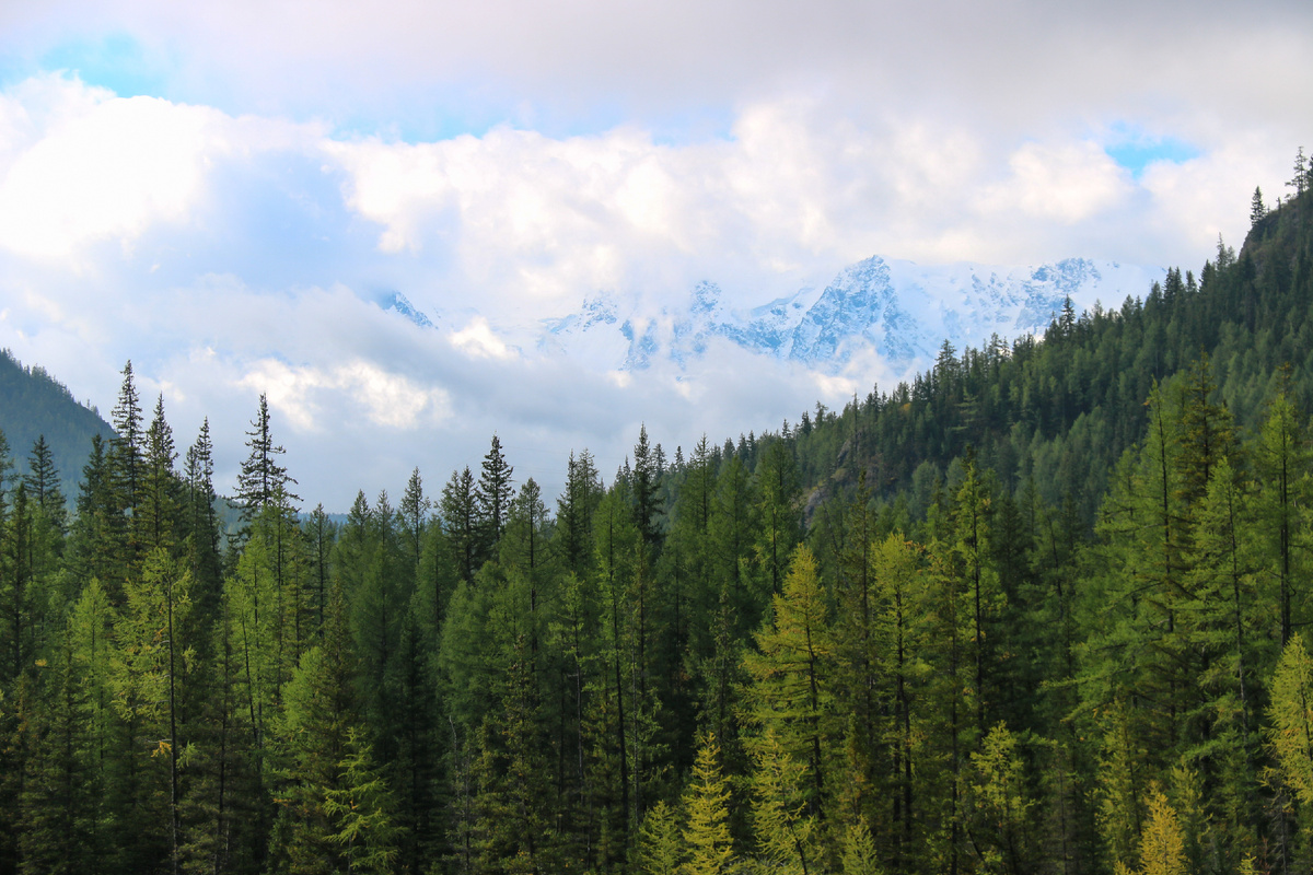 Вид с Чуйского тракта