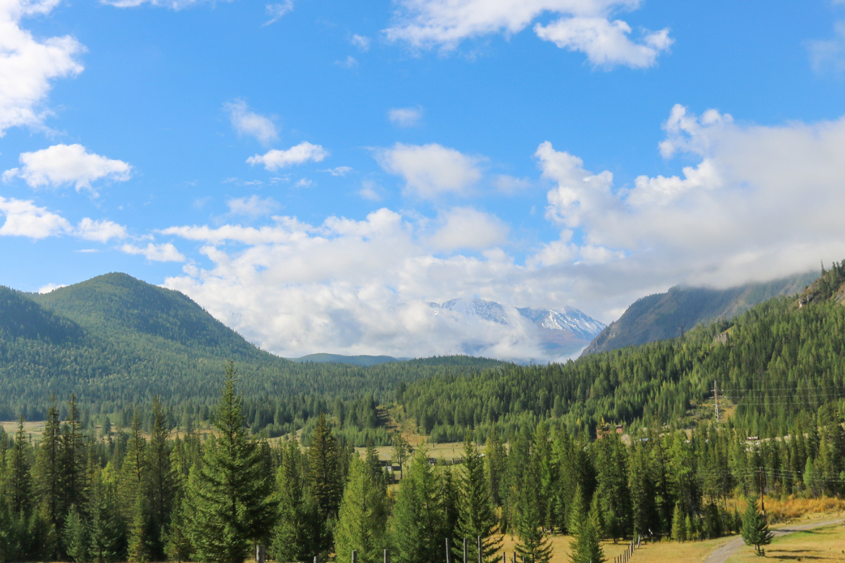 Вид с Чуйского тракта