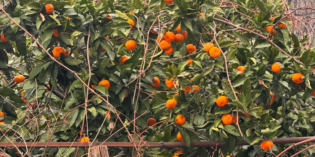 Абхазия: как она изменилась.