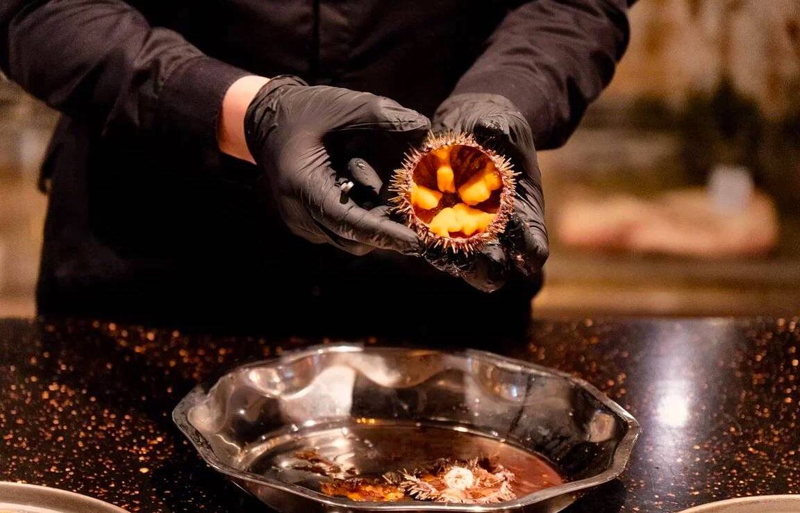 Фото: Марина Транкова, Евгения Салатина