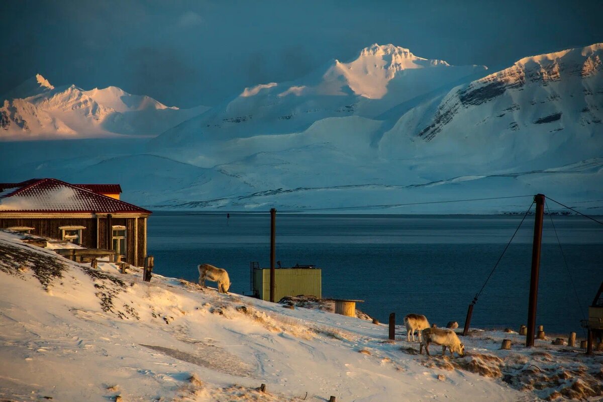 Архипелаг Шпицберген. Фото: Александра Кузнецова. Источник: GeoPhoto
