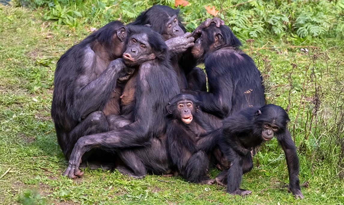 Чего стоишь, как не родной? Присоединяйся! 