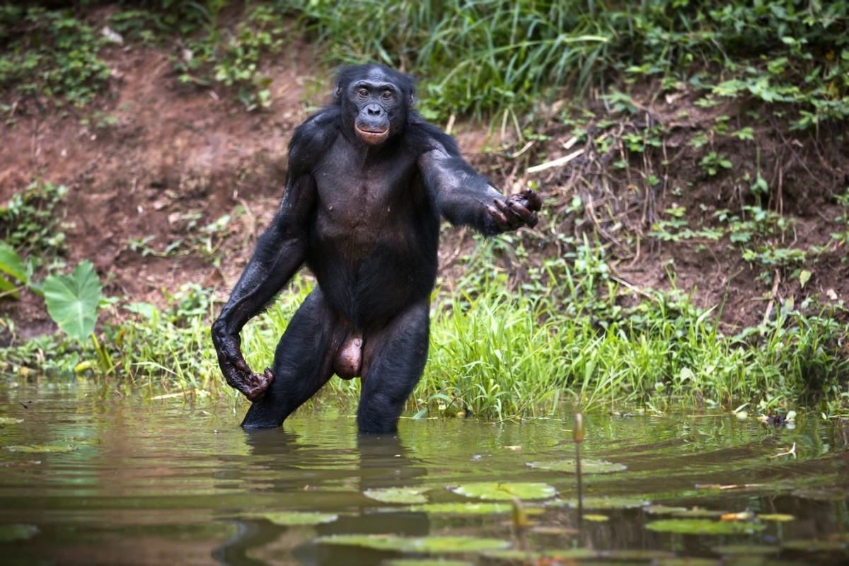 Переходи на сторону добра! У нас нет печенек, но есть кое-что поинтереснее... 