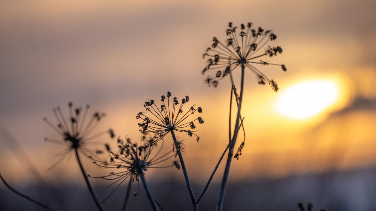    Фото: Федор Воронов / «Ямал-Медиа»