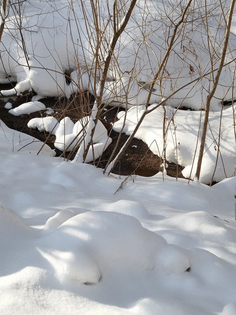 За городом красивая почти весна. Фото из личного архива автора.