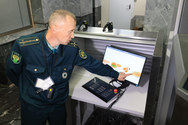 Фото: Дмитрий Куткин («Вечерний Челябинск»)