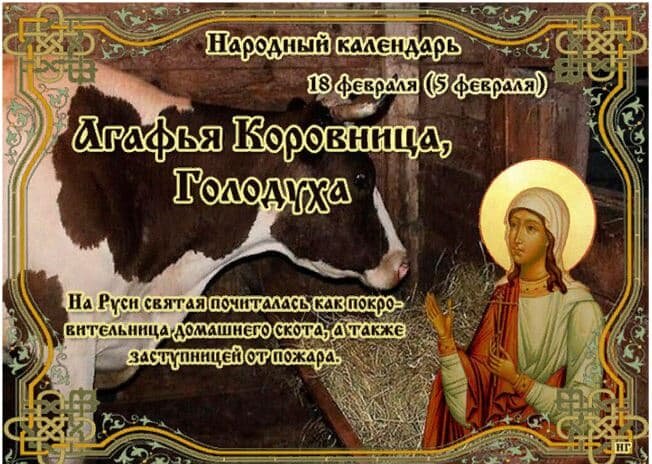 фото с яндекс картинок