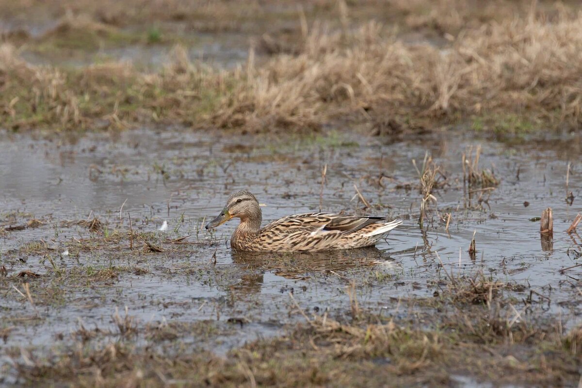 Фото: Тульская служба новостей