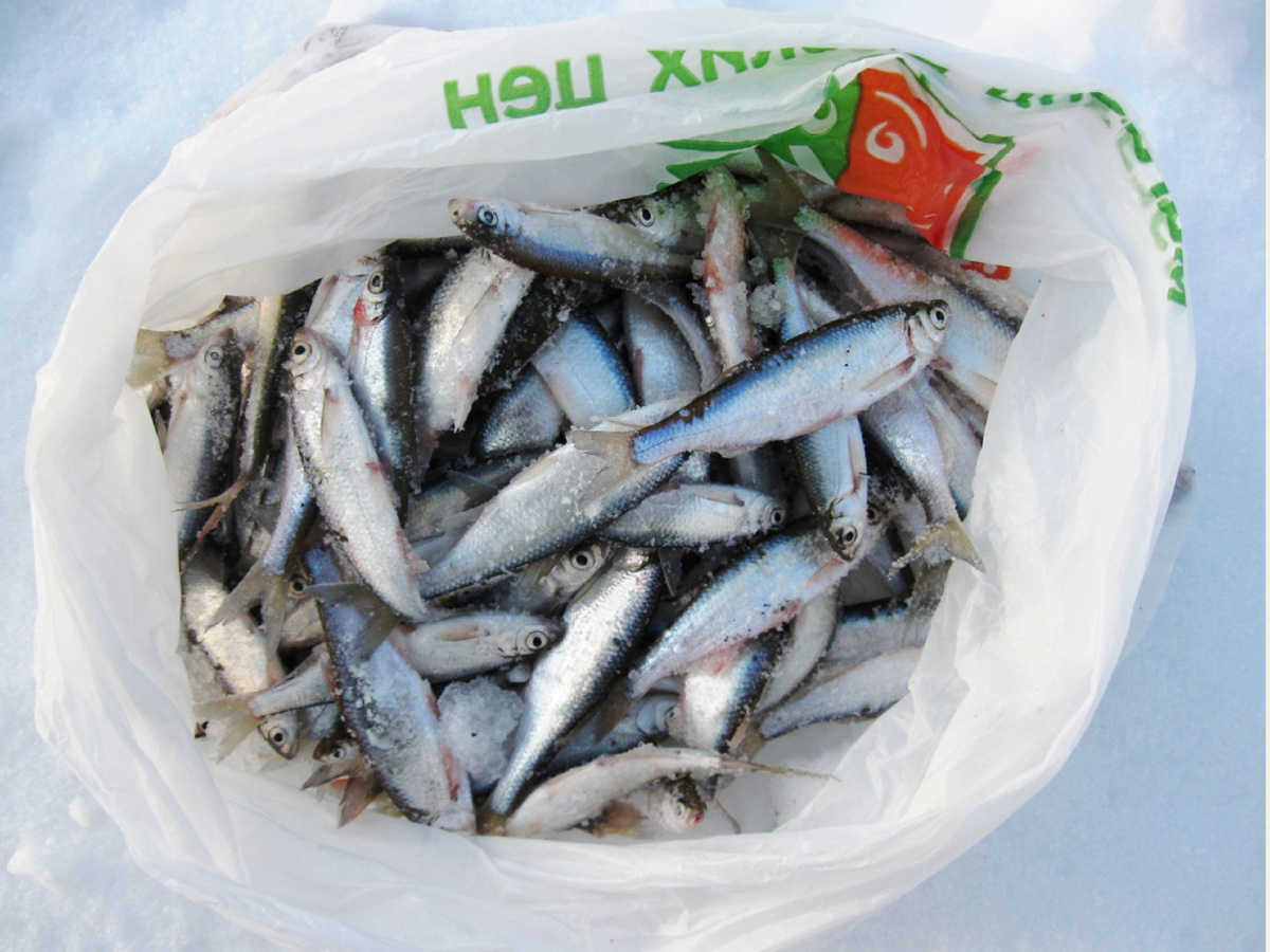 Клевала немного