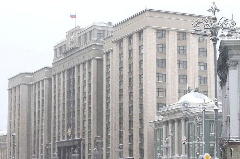   Пресс-служба Госдумы