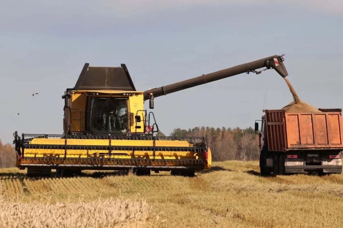    Сельхозпродукцию на 93,6 млн долларов продает за рубеж Псковская область