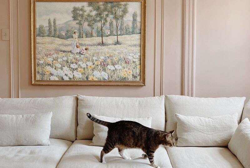 Антивандальная ткань: маркетинговая уловка или спасение от питомцев