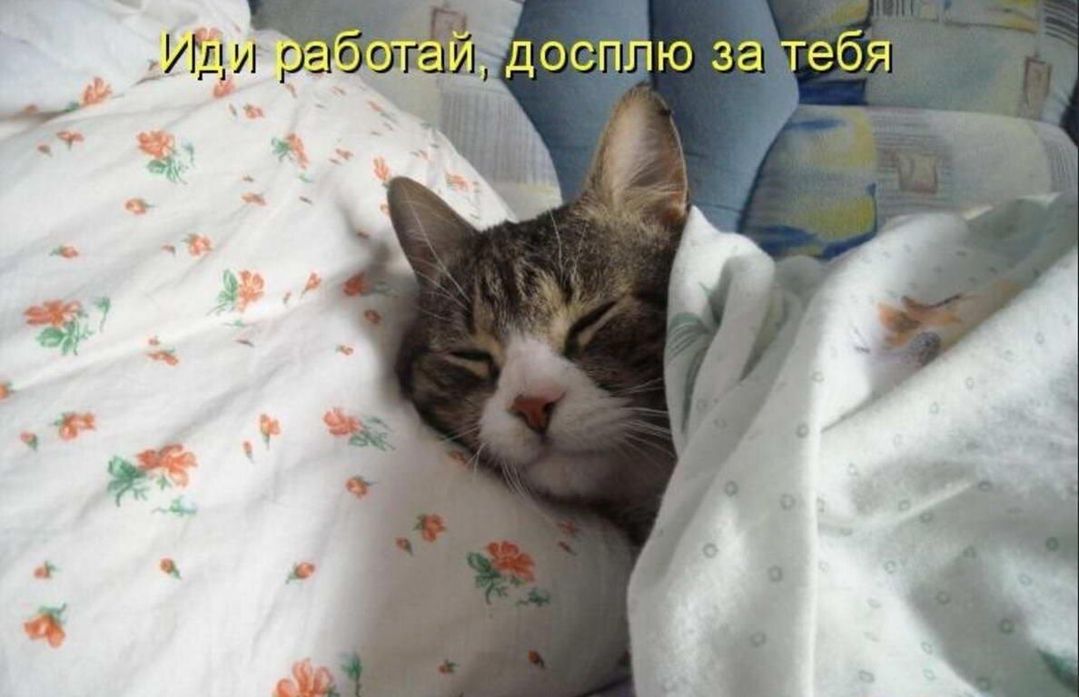 источник Яндекс-картинки