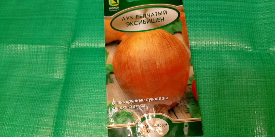 Посадила лук Эксибишен