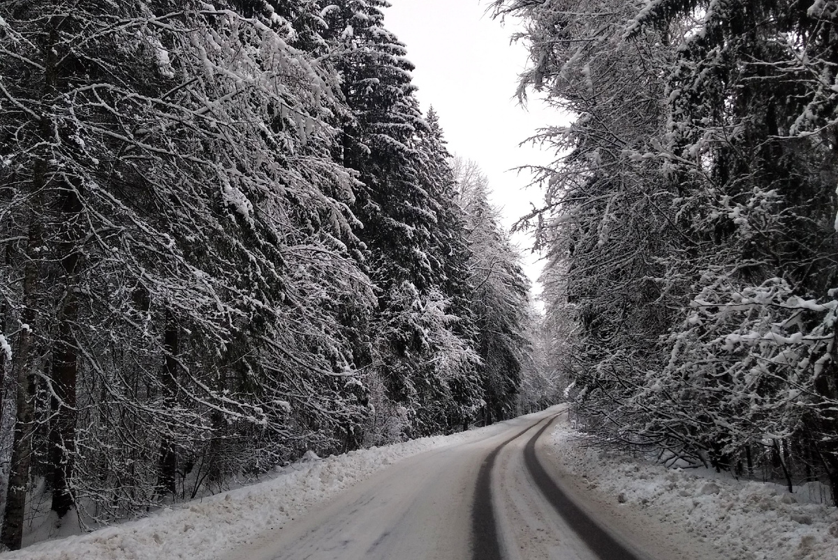 Начинается зимняя сказка