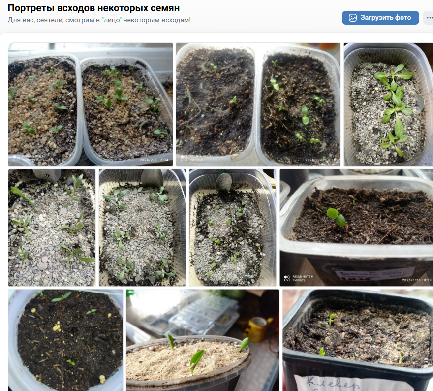 из альбома ВК