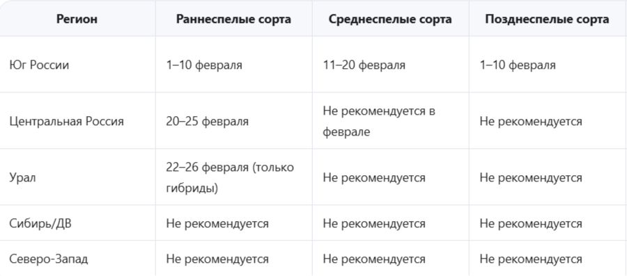 Практический календарь посева баклажанов на февраль 2026 года