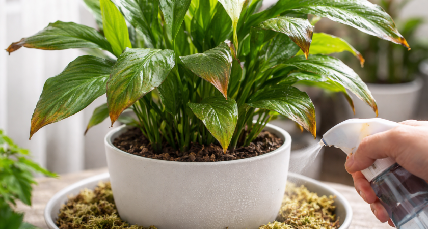    Изображение создано нейросетью