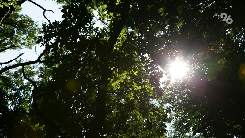      Фото: Валерия Алтухова / / ИА «Победа26»