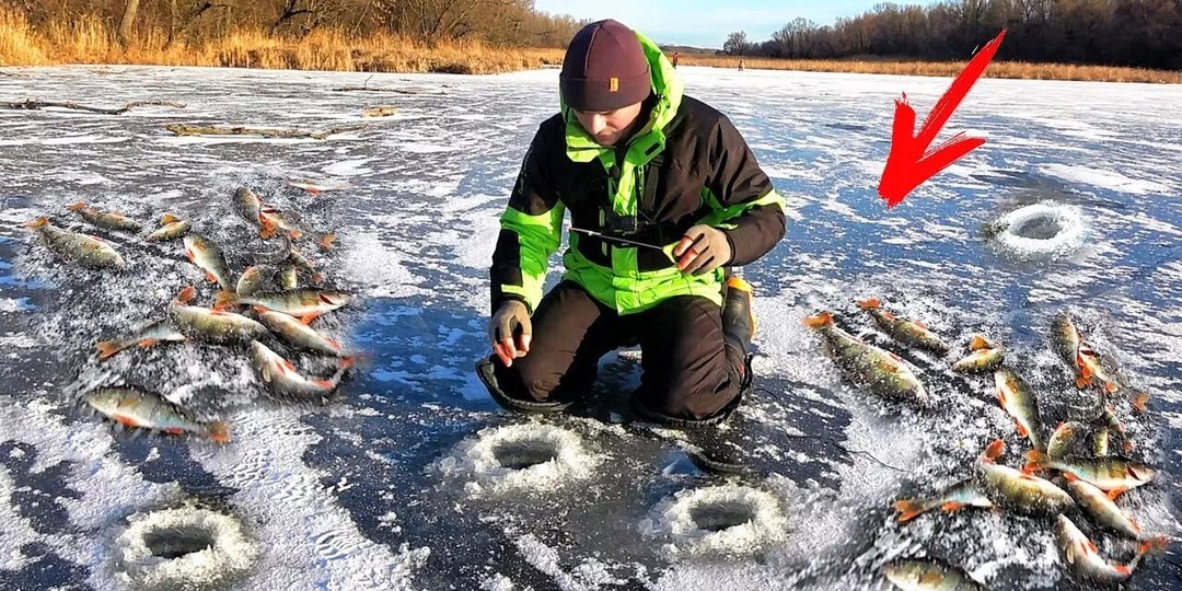 Почему зимой рыба стоит под самой лункой? Разрушаем мифы