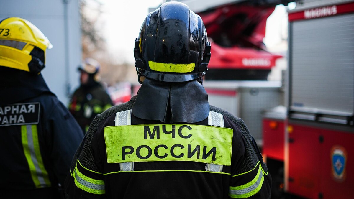    Фото: ИЗВЕСТИЯ/Сергей Лантюхов