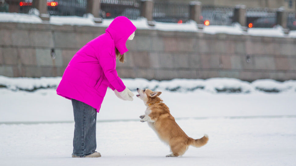 Фото: Екатерина Аболмасова / Коммерсантъ