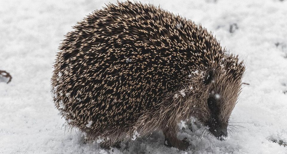    istockphoto.com/Wirestock