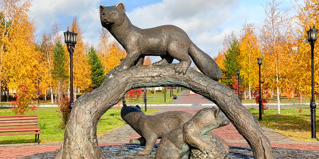 Про бережное отношение к месту, где живёшь. Прогулки с ротвейлером.