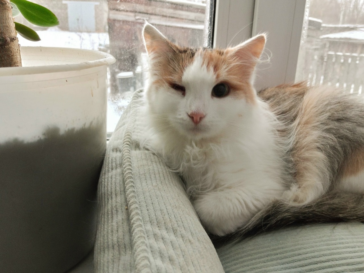 Особенность Муси в том, что окружающий мир они видит только одним глазом, но это не портит её очарования