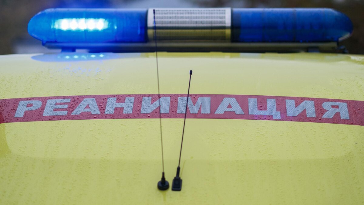    Фото: ИЗВЕСТИЯ/Сергей Виноградов