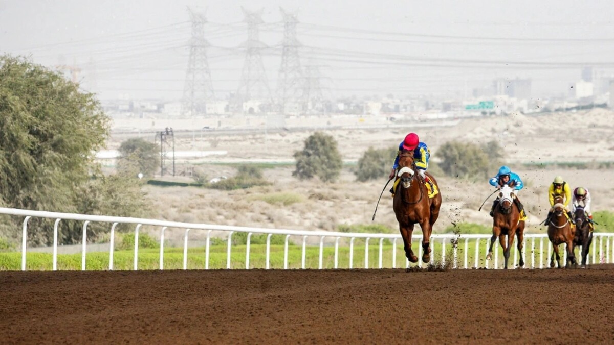    Фото: Serene View/Shutterstock/Fotodom