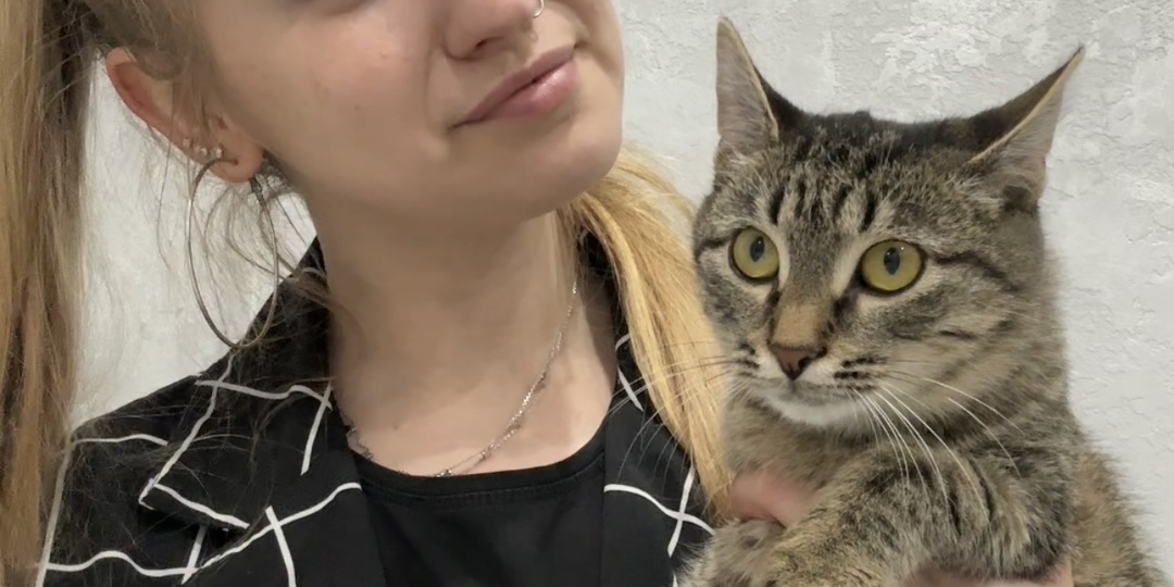 Без животных в доме одиноко