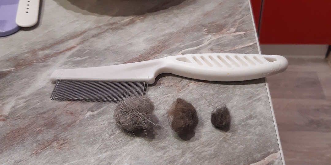 Явилась не запылилась