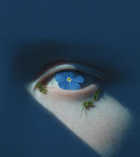 «Почему ВЧЛ — худшие лжецы и лучшие детекторы лжи»: биология правды