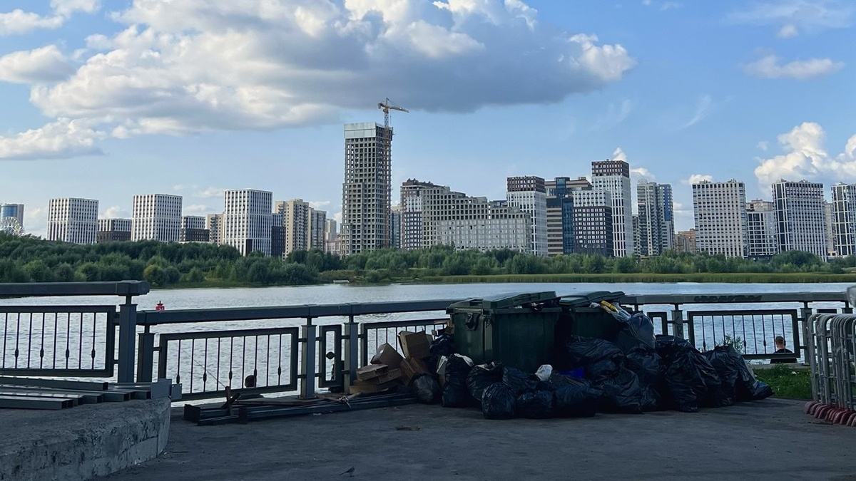    Анна Сальникова