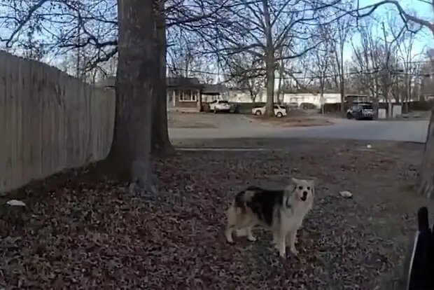    Фото: lenta.ru Иван Гаврилов