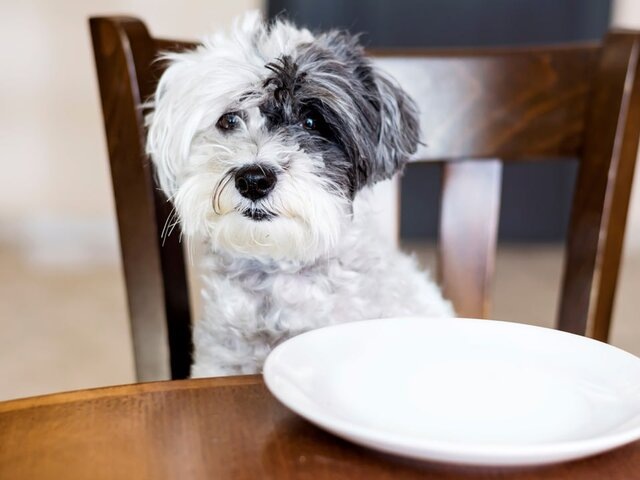    Фото: 123RF.com/bobipro